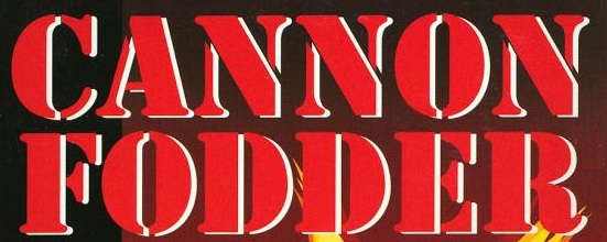 Cannon Fodder: A Bullet through the Skull