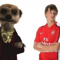 Eisfeld, Arshavin, Wilshere, Wenger and Bolton…